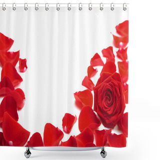 Personality  Red Rose Petals Isolated Shower Curtains