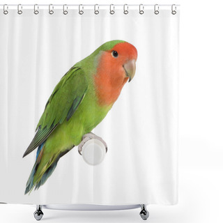 Personality  Peach-faced Lovebirdin - Agapornis Roseicollis Or Lilian's Lovebird Shower Curtains