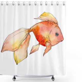 Personality  Watercolor Aquatic Colorful Goldfish Isolated On White Illustration Element. Shower Curtains