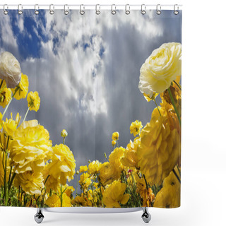 Personality   Heavy Rain Cloud  Shower Curtains