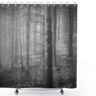 Personality  Foggy Autumn Forest Shower Curtains