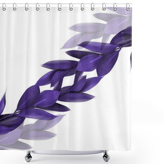 Personality  Twigs With Purple Leaves And Transparent Purple Twigs Isolated On White  Shower Curtains