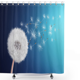 Personality  Dandelion Field Shower Curtains