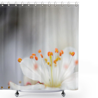 Personality  Extreme Macro Of Plum Flower Shower Curtains