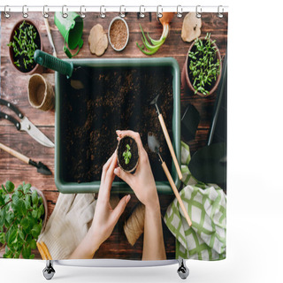Personality  Cropped View Of Woman Holding Vase With Sprout In Both Hands On Background With Gardening Tools Shower Curtains