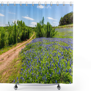 Personality  Old Texas Dirt Road In Field Of  Texas Bluebonnet Wildflowers Shower Curtains