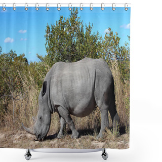 Personality  Breitmaulnashorn / Square-lipped Rhinoceros / Ceratotherium Simum Shower Curtains