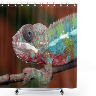 Personality  Panther Chameleon Shower Curtains
