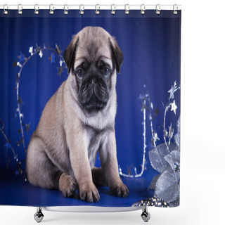 Personality  Pug Puppy Dog Shower Curtains