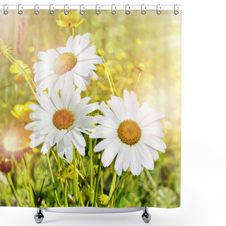 Personality  Wildflowers Daisies. Summer Landscape. Shower Curtains