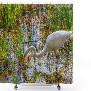 Personality  A Great White Egret Shower Curtains