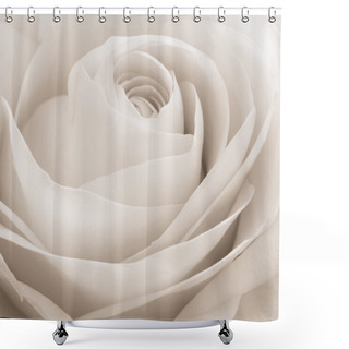 Personality  White Rose Macro Shower Curtains