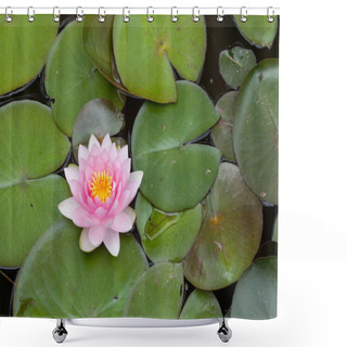 Personality  Star Lotus (Nymphaea Nouchali), Also Known As The White Water Lily.  Shower Curtains