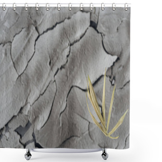 Personality  Selective Focus Of Dry Plant On Barren Surface, Global Warming Concept Shower Curtains