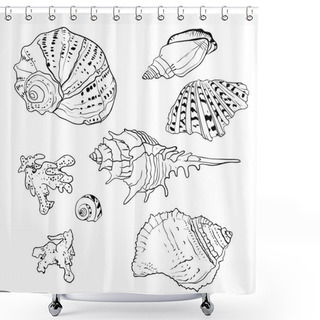 Personality  Set Of Vector Hand Drawn Seashells Shower Curtains