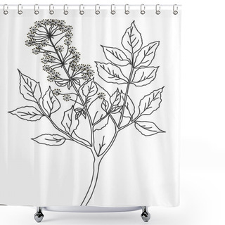 Personality  Vector Silhouette Of The Plant On Green Background Shower Curtains