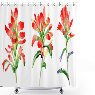Personality  Wildflower Indian Paintbrush Flower In A Watercolor Style Isolated. Shower Curtains