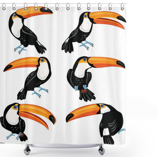 Personality  Set Of Toucans Shower Curtains