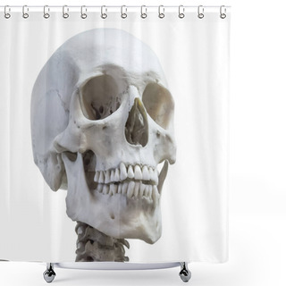 Personality  Human Skull Head On The Neck Of The Spine Isolated On A White Background. Shower Curtains