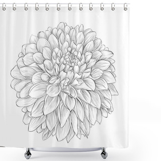 Personality  Beautiful Monochrome Black And White Dahlia Flower Isolated On Background. Shower Curtains
