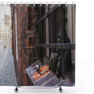 Personality  Gnome Statue And Grid Near Window On Urban Street In Wroclaw Shower Curtains