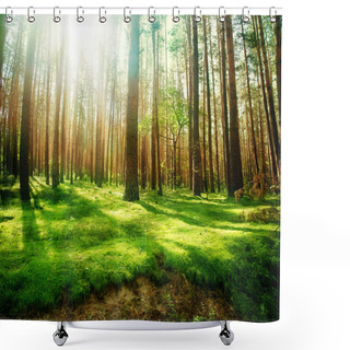 Personality  Misty Old Forest Shower Curtains