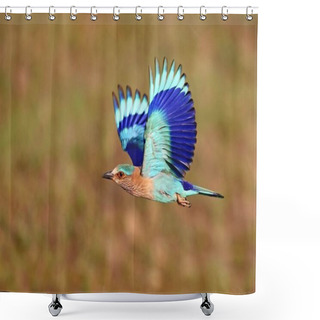Personality  Flying Blue Bird Shower Curtains
