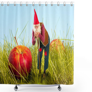 Personality  Garden Gnome And Apple Shower Curtains