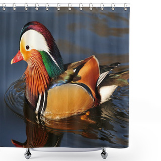 Personality  Chinese Duck With Beautiful Feather Shower Curtains