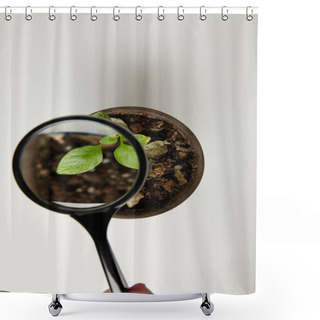 Personality  Top View Through Magnifying Glass At Green Plant In Pot On Grey  Shower Curtains