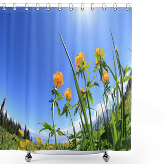 Personality  Beautiful Globeflowers And Green Grass Shower Curtains