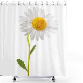 Personality  White Daisy Shower Curtains