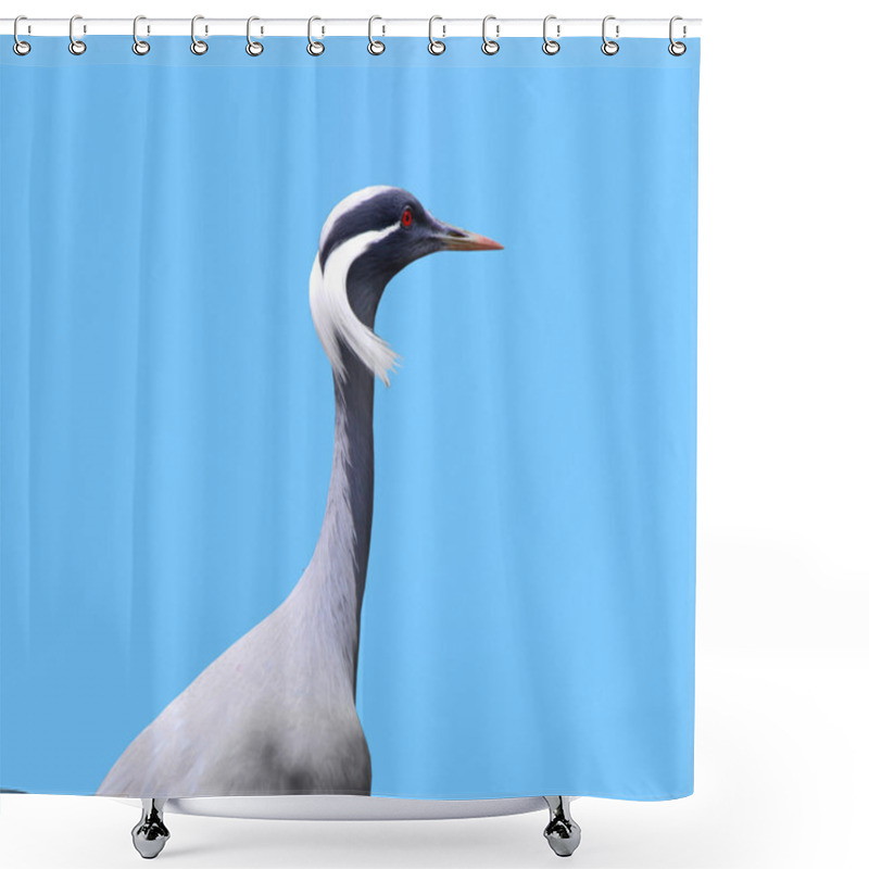 Personality  Demoiselle Crane Shower Curtains