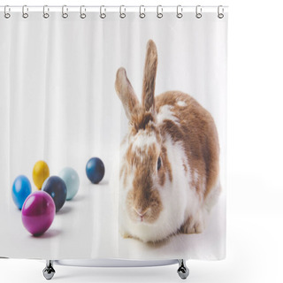 Personality  Bunny With Painted In Different Colors Eggs, Easter Concept Shower Curtains