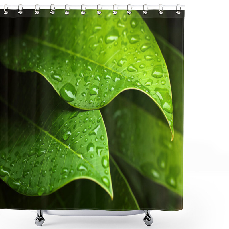 Personality  Green leaf shower curtains