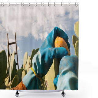 Personality  Prickly Pear Picker Shower Curtains