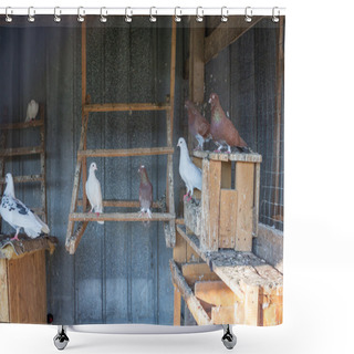 Personality  Pigeons Sit On Perches At Farm Roost Countryside Shower Curtains