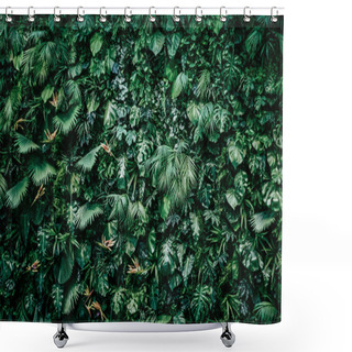 Personality  Tropical Leaves As Nature And Environmental Background, Botanical Garden And Floral Backdrop, Plant Growth And Landscape Design Shower Curtains