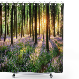 Personality  Path Through Bluebell Woods Shower Curtains