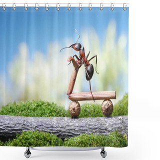 Personality  Ant Run Bicycle On Road Shower Curtains