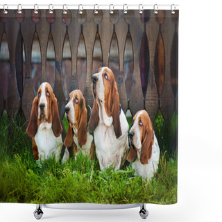 Personality  Group Of Dogs Basset Hound Sitting On The Grass Shower Curtains
