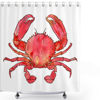 Personality  Watercolor Crab Shower Curtains
