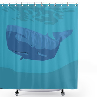 Personality  Marine Art - Sperm Whale Floating In The Ocean Shower Curtains