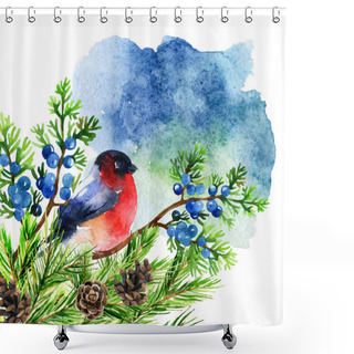 Personality  Watercolor Bullfinch On Juniper Branch Shower Curtains