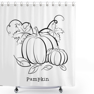Personality  Pumpkin. Autumn Still Life. Picture For Coloring. Vector Illustration Isolated On A White Background. Shower Curtains