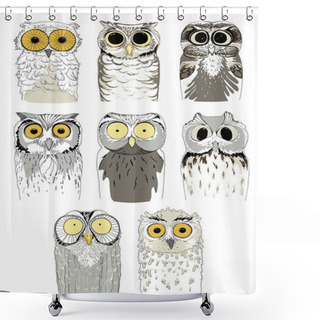 Personality  Set Of Different Owls. Cute And Funny Hand Drawn Owls. Vector Birds On A White Background. Shower Curtains
