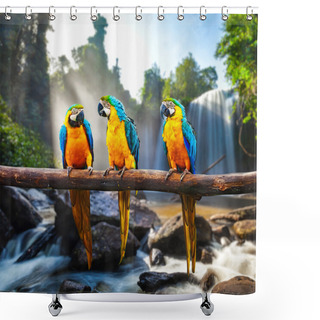 Personality  Blue-and-Yellow Macaw Ara Ararauna Shower Curtains