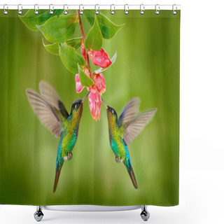 Personality  Hummingbird Birds With Pink Flowe Shower Curtains