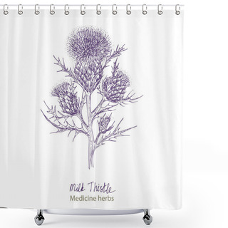 Personality  Set Hand Drawn Of Milk Thistle, Lives And Flowers In Black Color Isolated On White Background. Retro Vintage Graphic Design. Botanical Sketch Drawing, Engraving Style. Vector. Shower Curtains