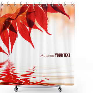 Personality  Autumn Leaves Reflected In Water Shower Curtains